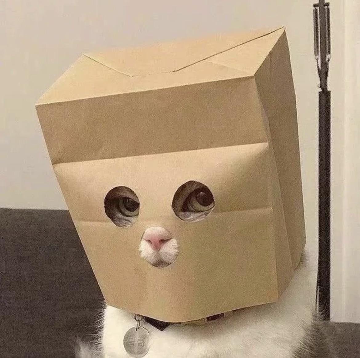 ZCAT