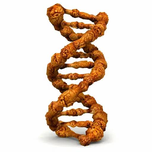 DNA